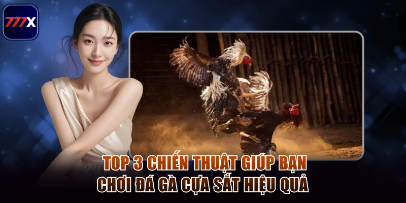  Top 3 chiến thuật giúp bạn chơi đá gà cựa sắt hiệu quả 